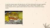 Lietuvos didikų maistas 6 puslapis