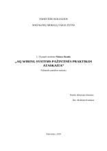 AQ Wiring Systems pažintinės praktikos ataskaita