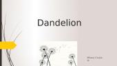 Dandelion plant 1 puslapis