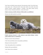Pasakojimo pagal objektą situacijoje Lietuvoje gyvenančius paukščius organizavimas 5 puslapis
