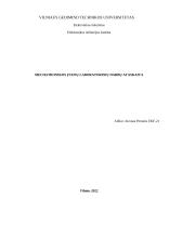 Nuolatinės srovės nepriklausomojo žadinimo variklio charakteristikų tyrimas (laboratorinis)
