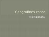 Geografinės zonos. Tropiniai miškai