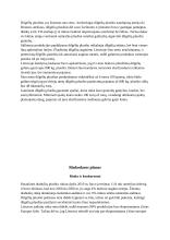 Dilgėlių pluošto gamybos investicinis planas 2 puslapis