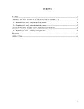 Konstitucinės teisės samprata (referatas) 2 puslapis
