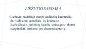 LieÅ¾uvis - skonisÂ  5 puslapis