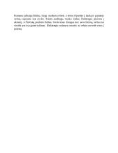 Rašinys apie Baltaragio malūną 2 puslapis
